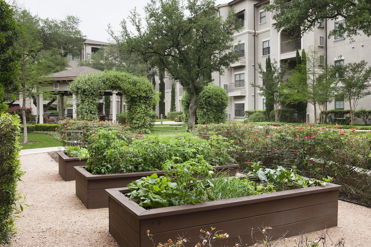 Franklin Park_Community Gardens