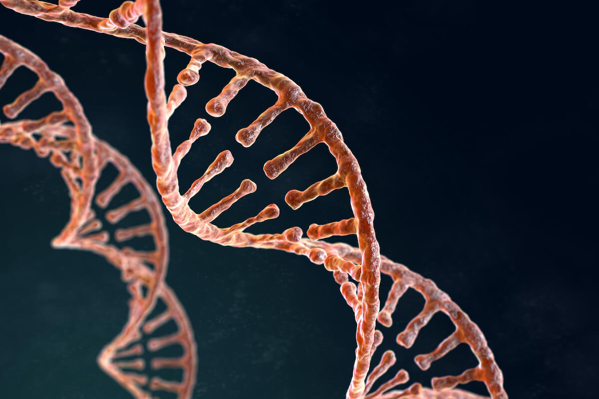 FP_Alzheimers-Disease-and-Genetics