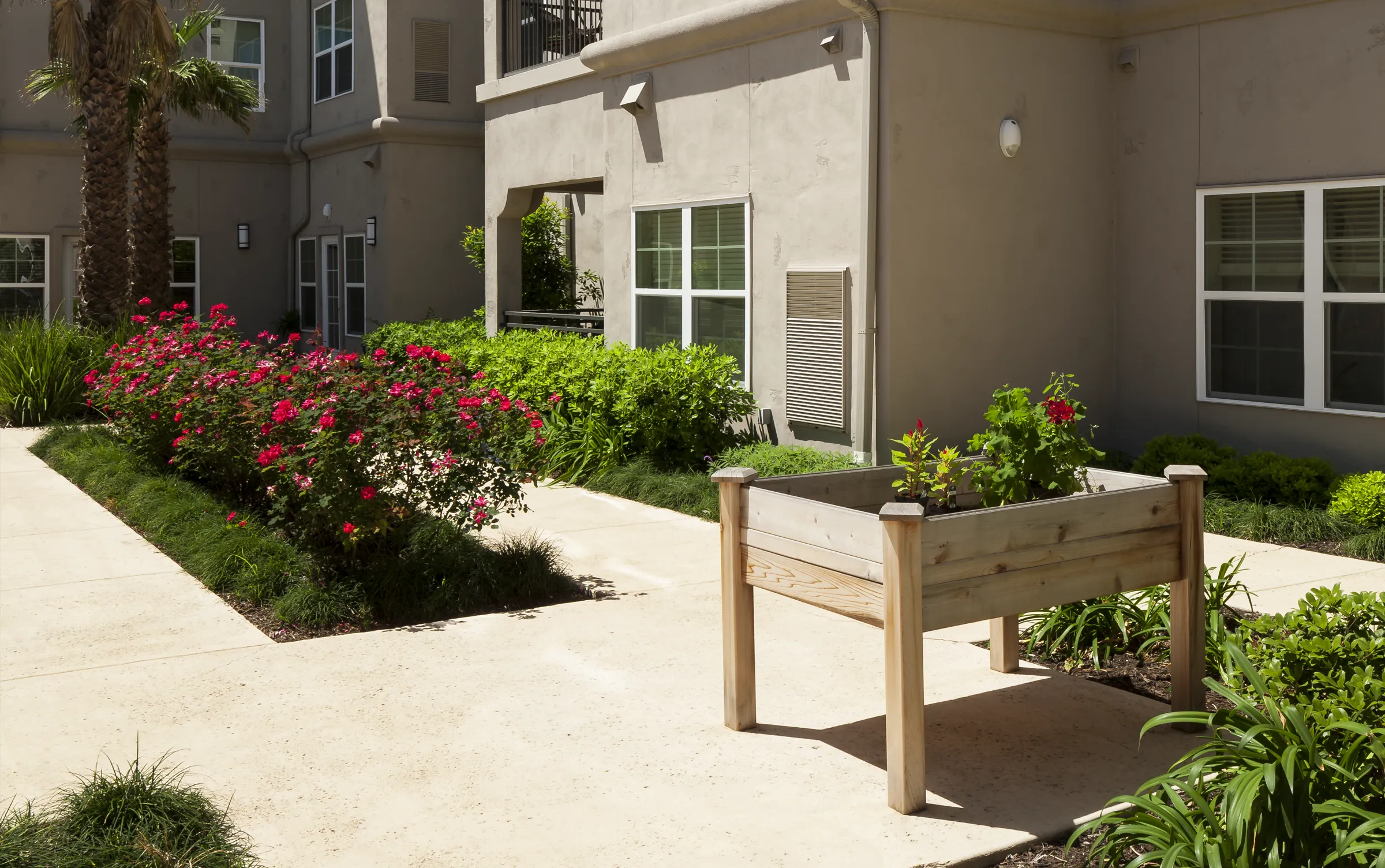 Apartment courtyard with flowers and raised planter box